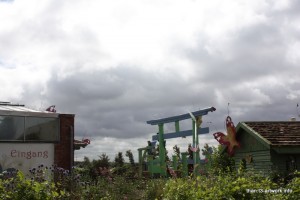 IMG_1473 IMG_1473
